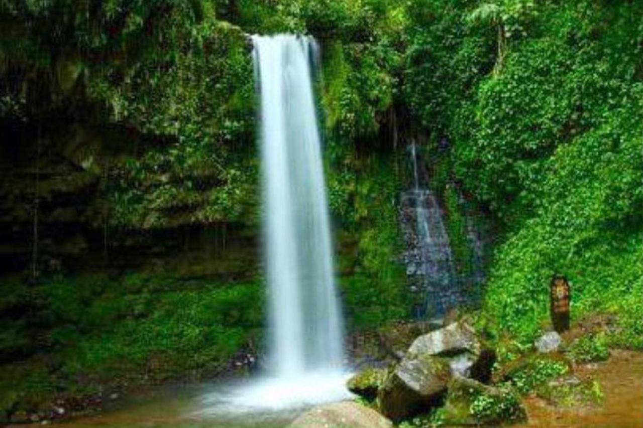 Oyo Home 90396 Mahua Rainforest Paradise Tambunan エクステリア 写真