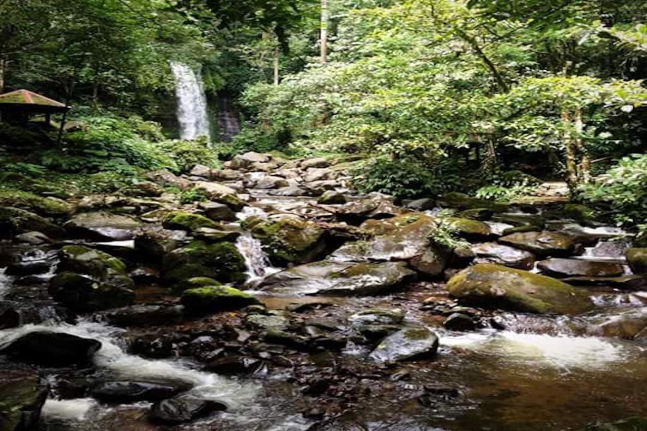 Oyo Home 90396 Mahua Rainforest Paradise Tambunan エクステリア 写真
